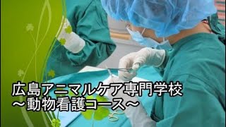 広島アニマルケア専門学校コース紹介 動物看護学科 進学なびすけ 株式会社エフォール 広島アニマルケア専門学校コース紹介 動物看護学科 進学なびすけ 株式会社エフォール