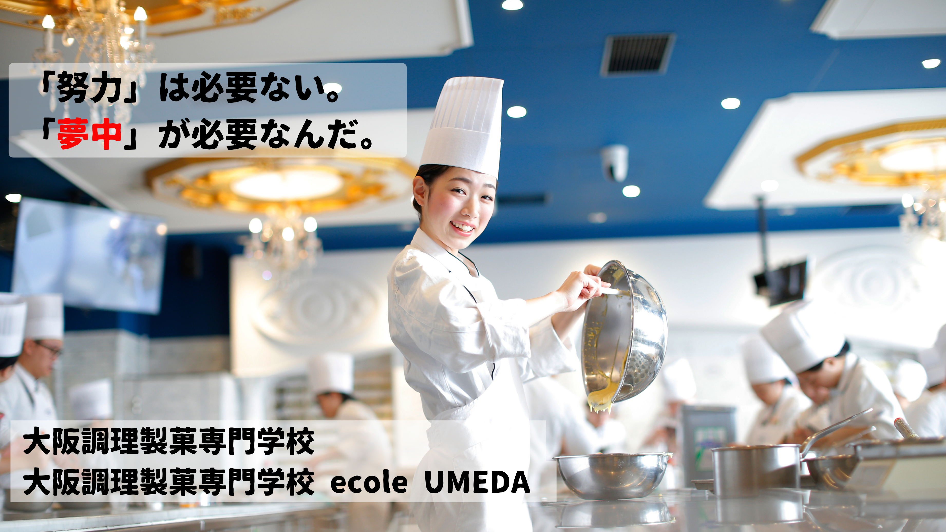 大阪調理製菓専門学校/大阪調理製菓専門学校ecoleUMEDA - 進学なびすけ 